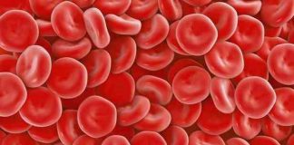 how-to-increase-hemoglobin