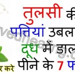 beneftis-of-drinking-milk-with-tulsi-leaves-in-hindi