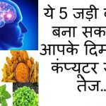 herbs-that-boost-your-brain-power-in-hindi