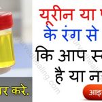 urine-color-health-tips-in-hindi