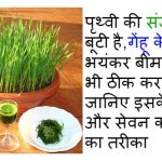 health-benefits-of-wheat-grass