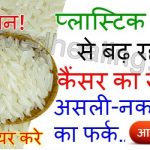 rice-purity-test