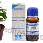 homeopathic medicine for kidney stone berberis