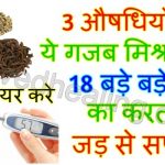 18-asadhya-rogo-ka-kal-hai-ye-prayog-in-hindi