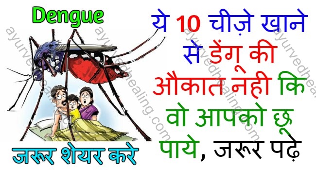 avoid-dengue-in-hindi