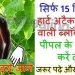 remove-heart-blockage-with-peepal-leaves-in-hindi